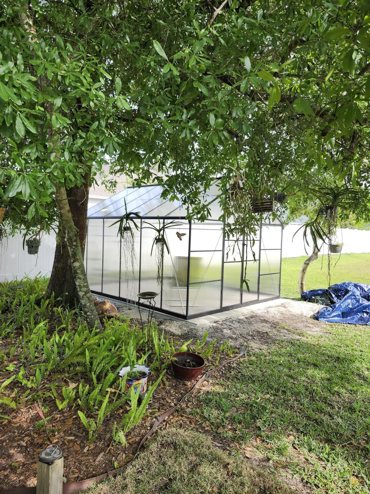 8X10FT Greenhouse with Thermometers, Large Aluminum Greenhouse for Outdoors | Polycarbonate Green House for Outside with Lockable Hinged Door, Easy Assembly Walk-in Greenhouse with Roof Vent for Backyard customer photo 2
