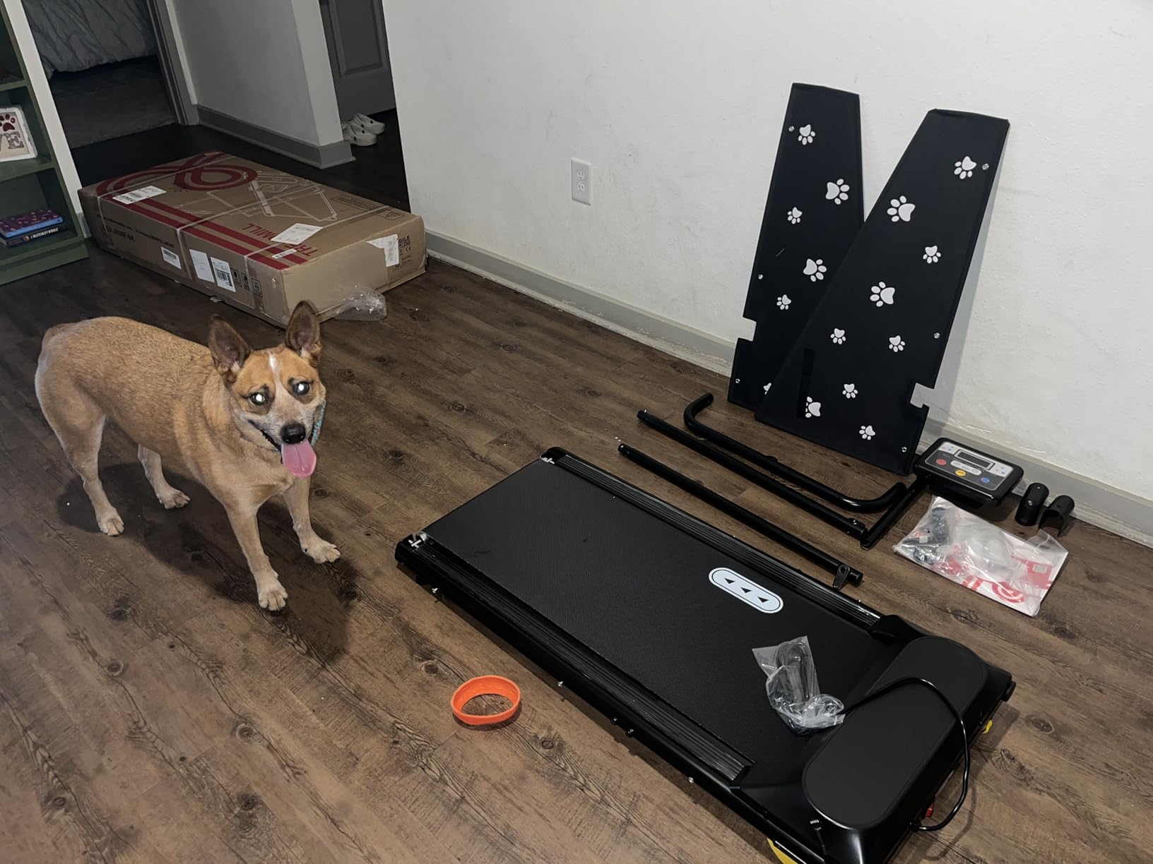 CIIHI Dog Treadmill for Medium Small Dogs - Pet Running Machine | 265lbs Capacity, 360° Rotatable Display, Indoor Pet Fitness & Training, Move Wheels & Remote Control, 2 in 1 Treadmill customer photo 1