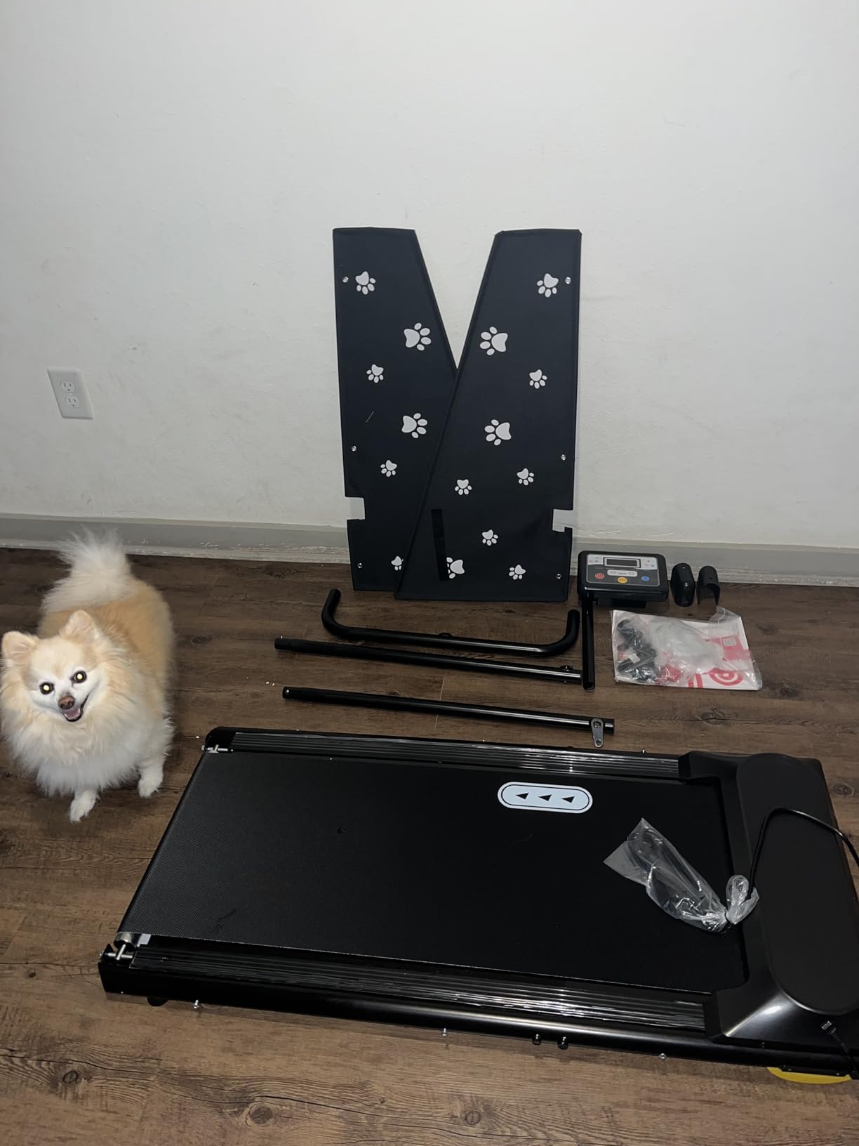 CIIHI Dog Treadmill for Medium Small Dogs - Pet Running Machine | 265lbs Capacity, 360° Rotatable Display, Indoor Pet Fitness & Training, Move Wheels & Remote Control, 2 in 1 Treadmill customer photo 2