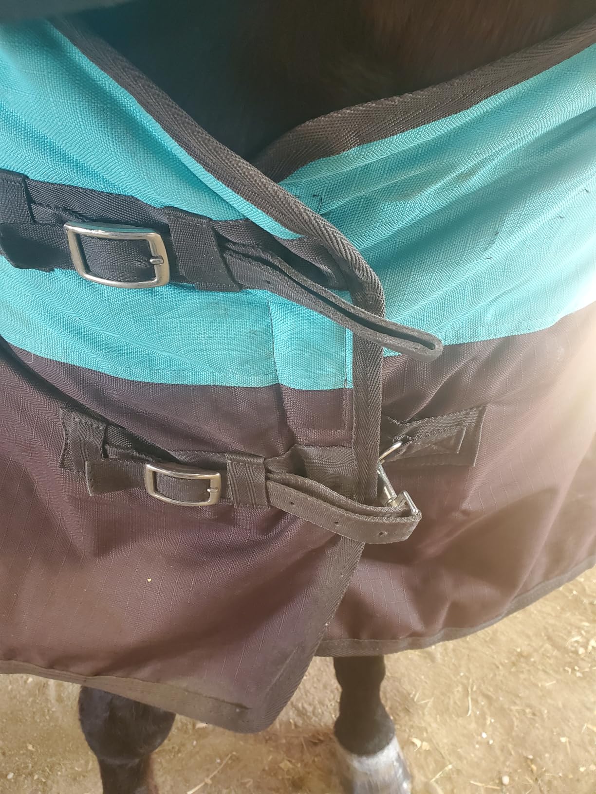 HILASON 1200D Winter Waterproof Turnout Horse Blanket Belly Wrap Neck Cover customer photo 2