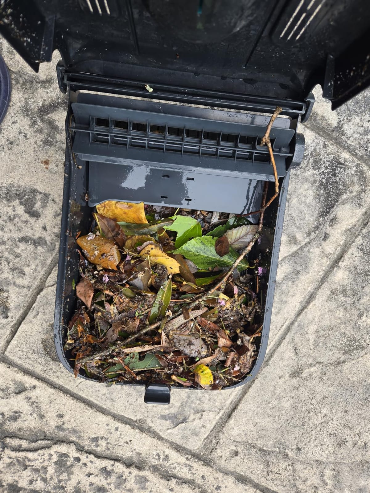 AIPER EcoSurfer S2 Solar Pool Skimmer Robot 24/7 Continuous Cleaning, Gray customer photo 1