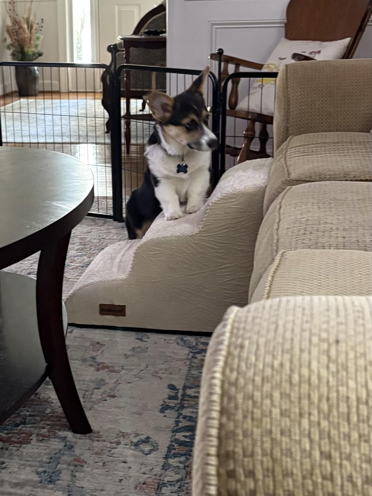 Aodisman Dog Stairs for Small Dogs,3 Step Dog Ramp for Couch,Non-Slip Steps | Pet stairs help small dogs, old cats, and puppies reach couches and chairs easily, durable indoor dog steps,15.4