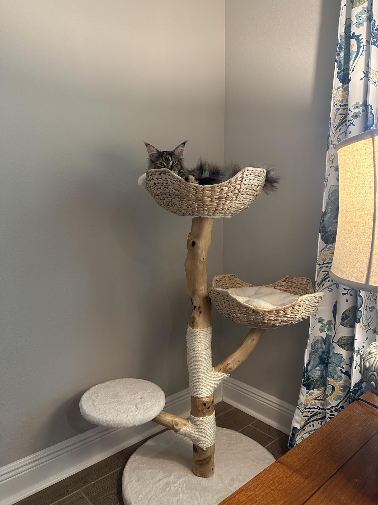 LEO & LEXI Aesthetic, Real Wood Modern Cat Tree. 46 inches Tall, Sturdy, Solid Natural Wood Tower for Large Cats. Scratching Post with Wicker Basket Bed, Luxury, Boho Furniture for Indoor Cats customer photo 2