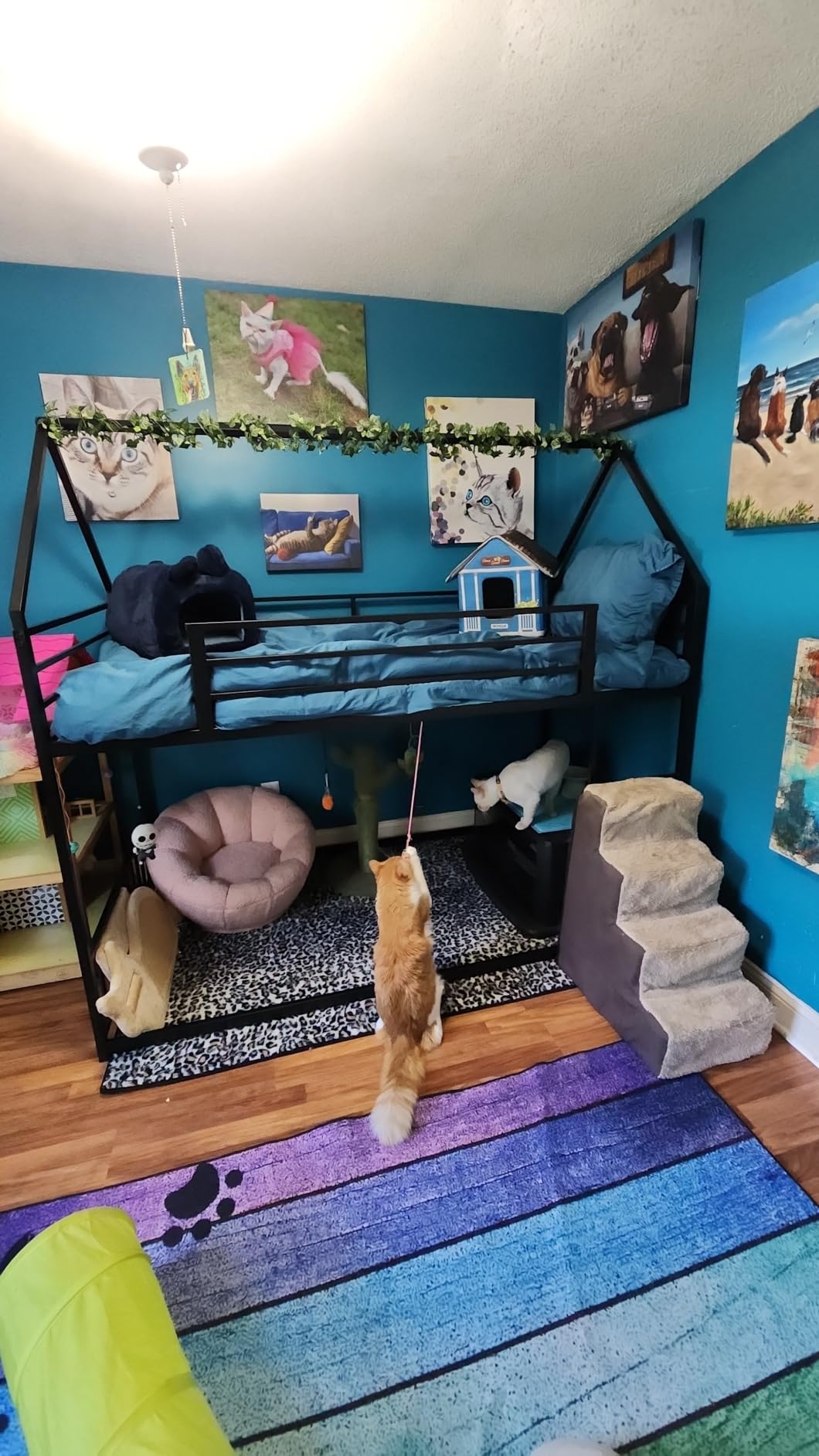 LIKIMIO Bunk Bed Twin Over Twin, House Bunk Bed Frame with Ladder, White | Twin Over Twin Bunk Bed. Metal frame with guardrails. House shaped with Metal Slats for bedroom. No box spring. Space Saving customer photo 2