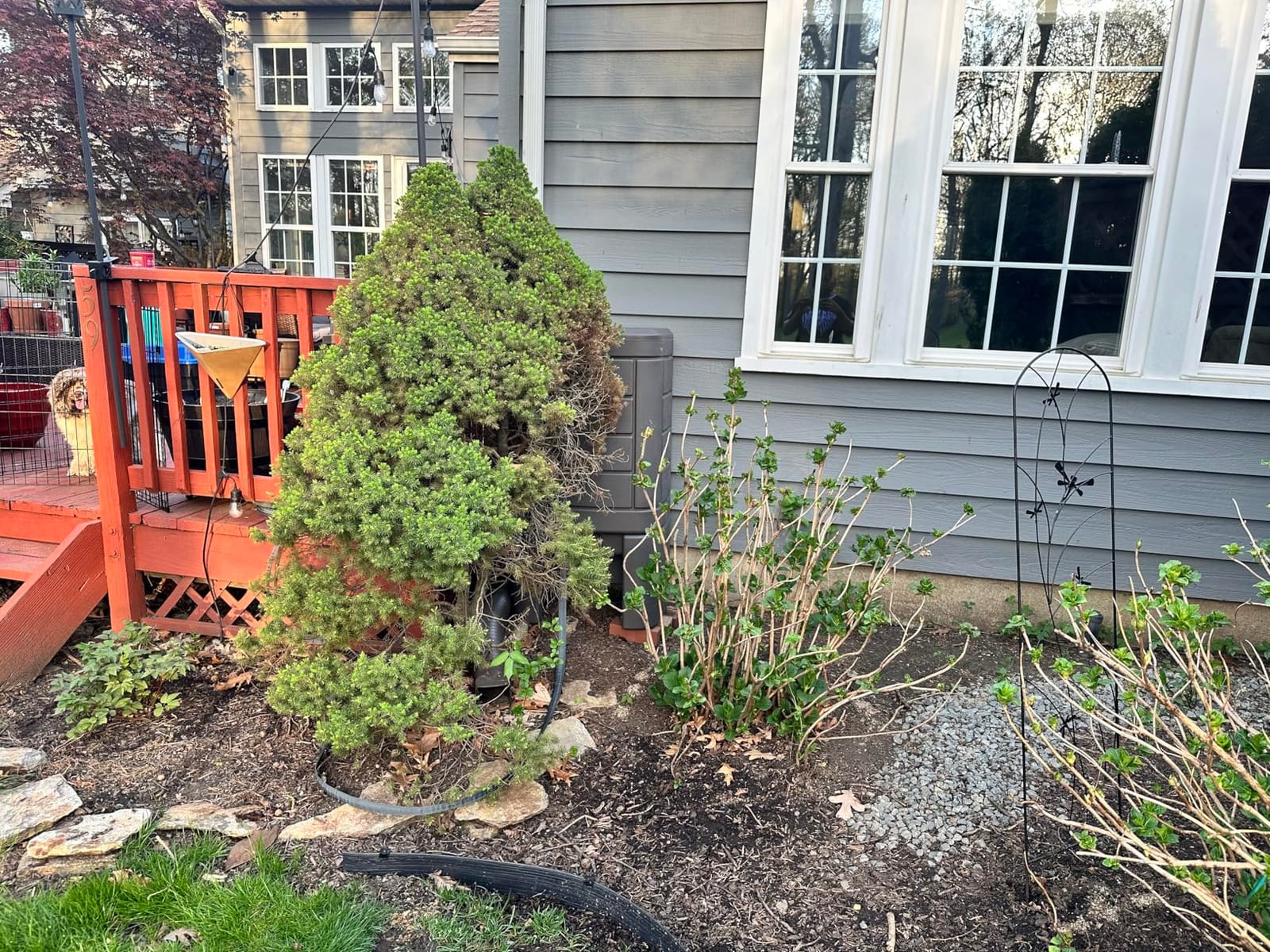 Step2 Lakewood Rain Barrel with Stand, Outdoor Water Conservation Container, Holds 60 Gallons, Brown customer photo 1