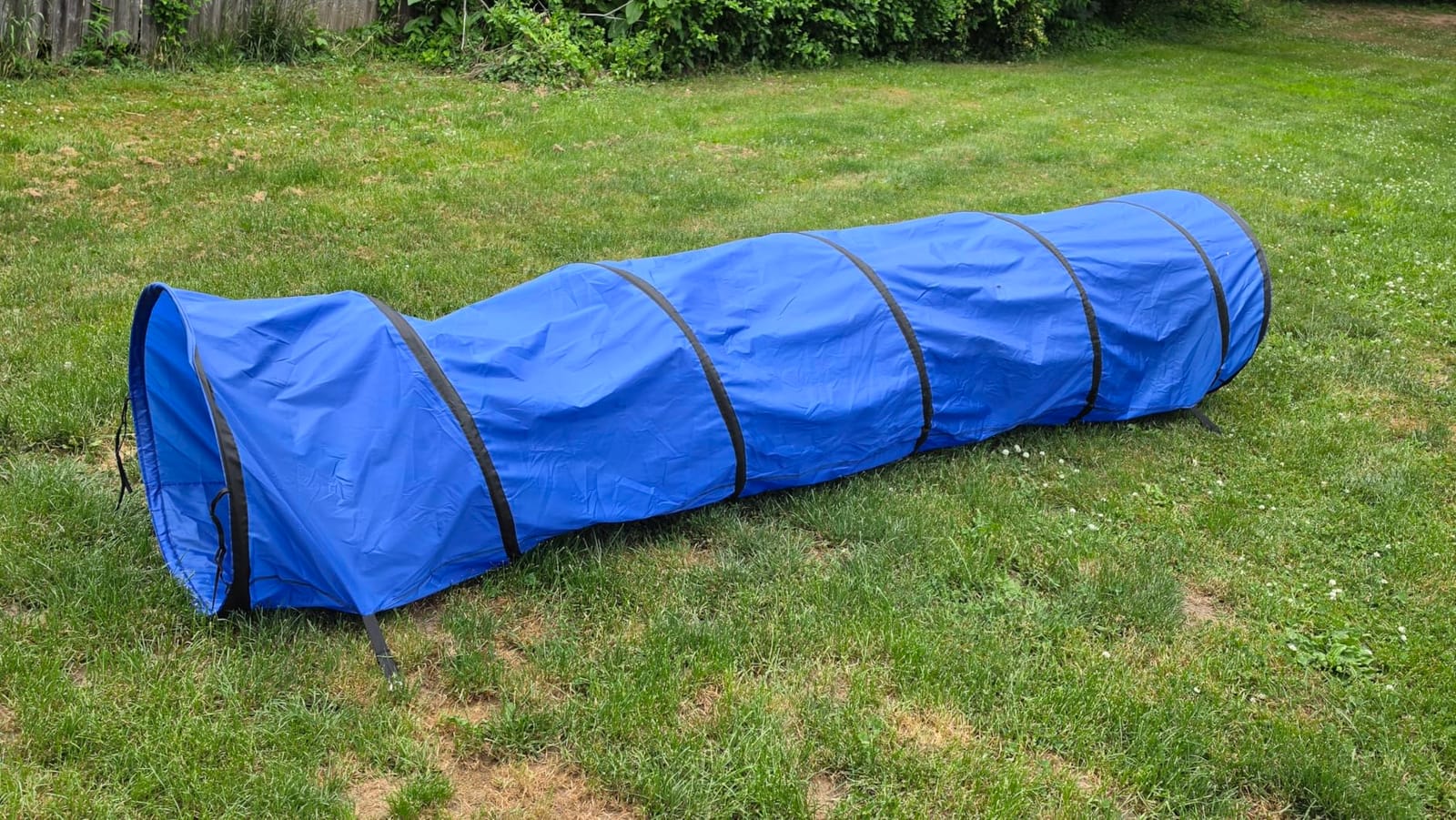 POPMOON Agility Training Equipment for Dogs, 13 PCS Dog Agility Equipment | Backyard & Indoor Training Professional Agility Course for Dogs with Adjustable Jumps, Collapsible Tunnel, Ball, Storage Bags customer photo 2