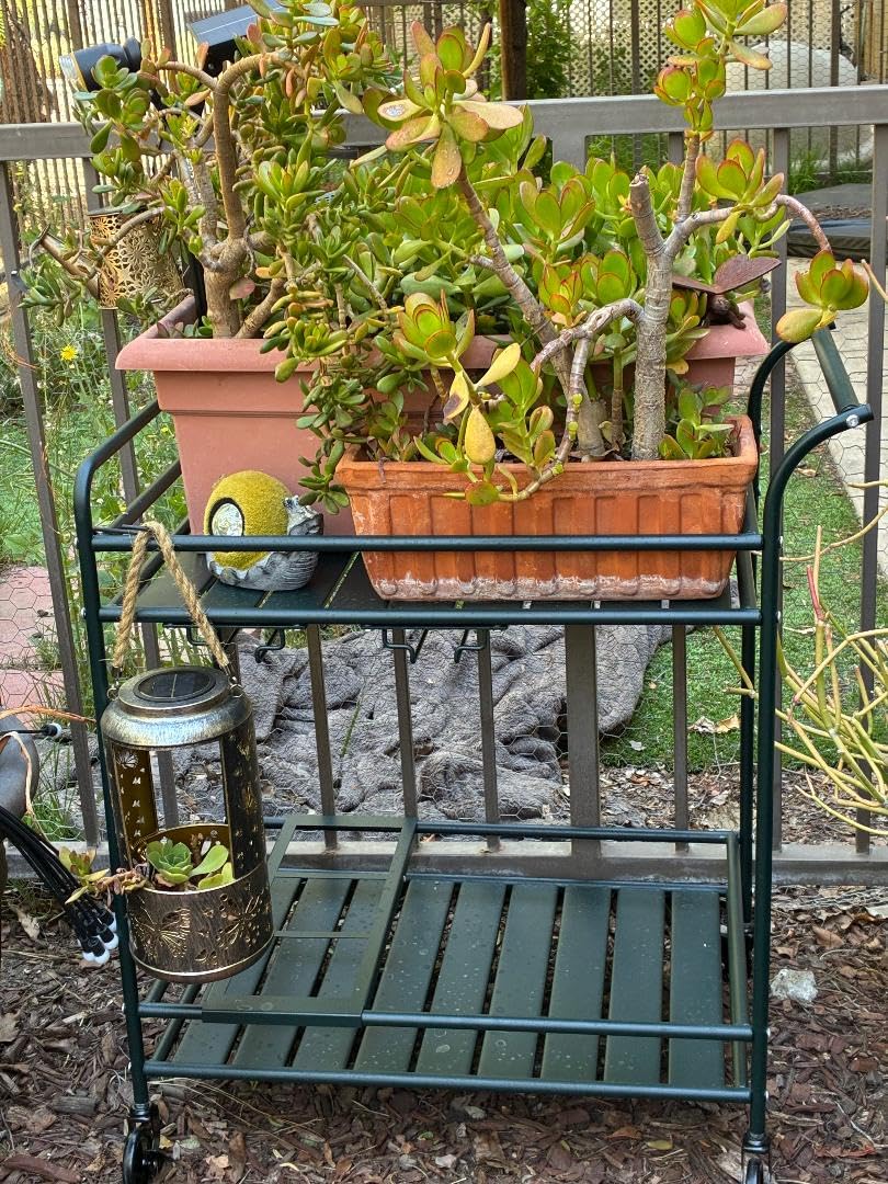 Best Choice Products Rolling Bar Cart, Mobile Home Bar Serving Cart, Serving Station w/ 2 Tier Shelves, Wine Rack, Lockable Wheels - Teal customer photo 1