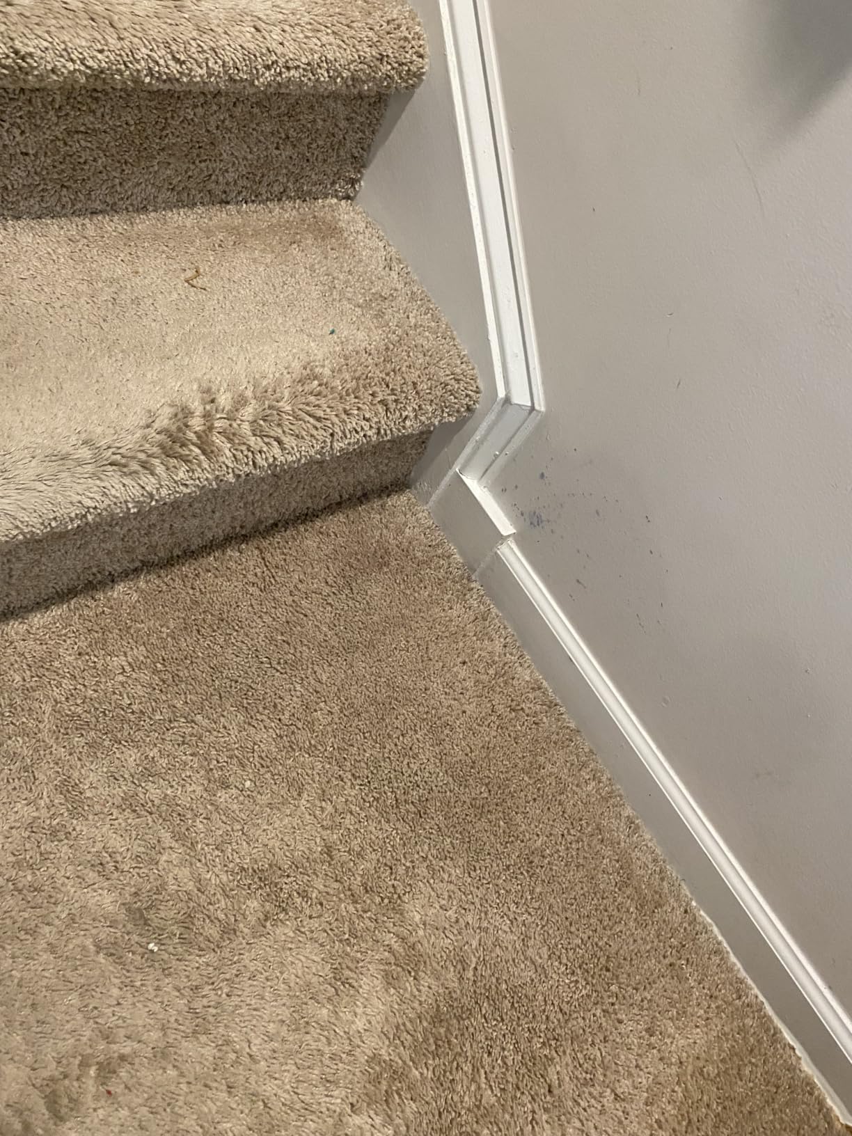 FOLEX Instant Carpet Spot Remover 32 oz - Powerful Stain Remover for Carpets, Upholstery & Rugs customer photo 2