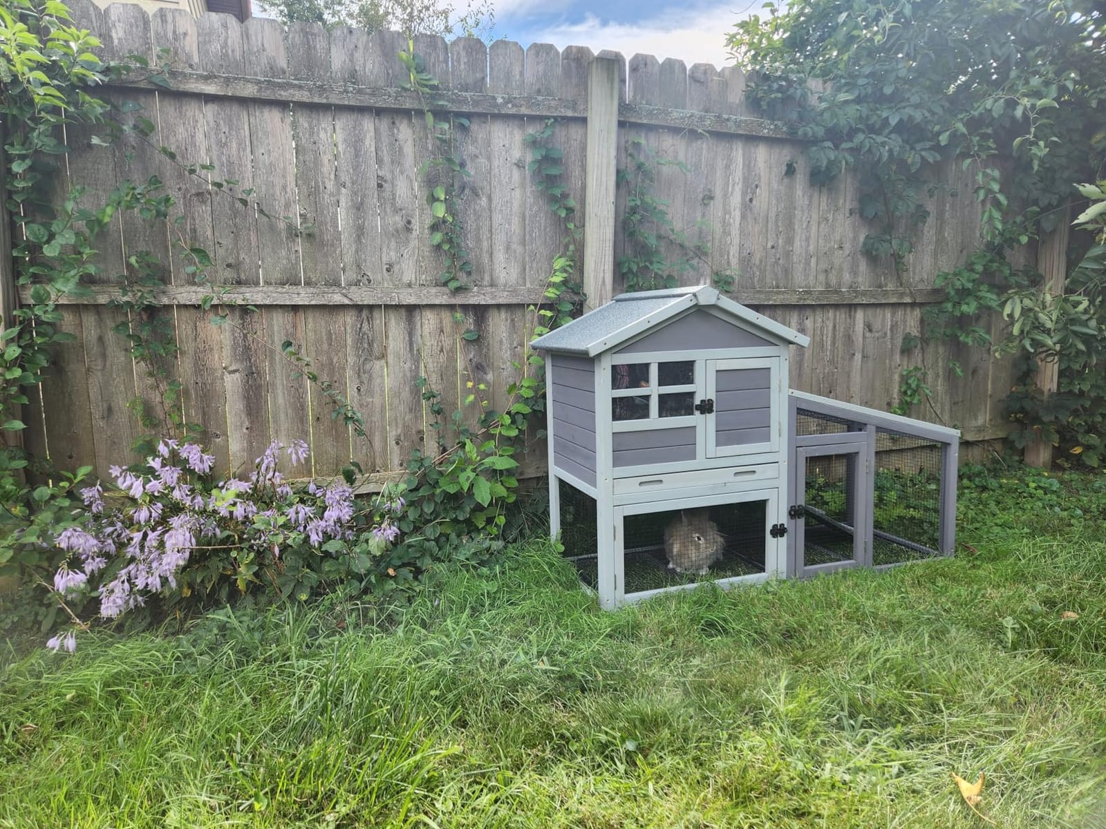 GUTINNEEN Rabbit Hutch Outdoor with PVC Bottom Layer Indoor Guinea Pig Cages Wooden Bunny Cage Large Rabbit House with Run customer photo 2