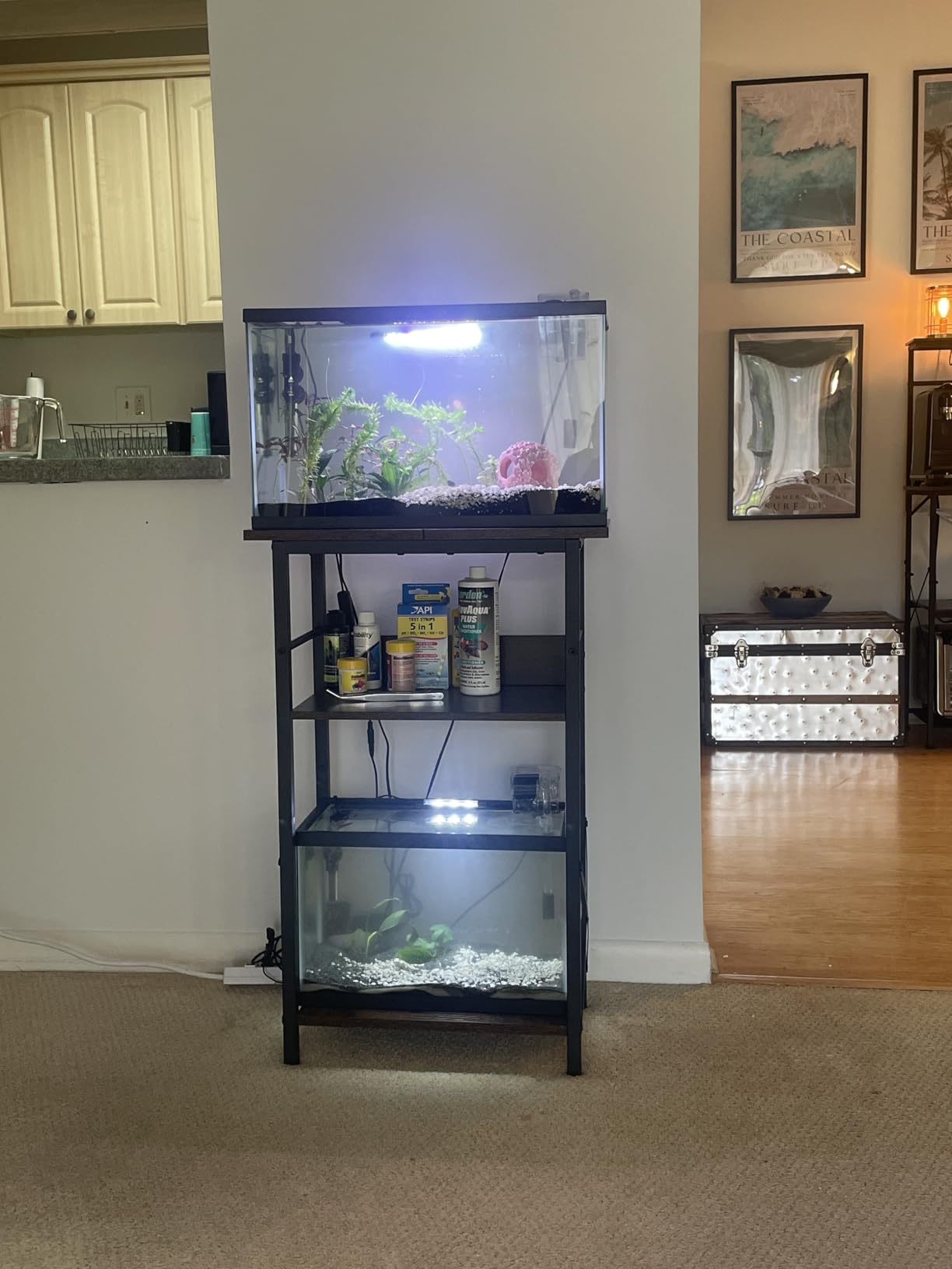 HOOBRO 10 Gallon Aquarium Stand, 3-Tier Fish Tank Stand with Storage, Reptile Turtle Tank Stand with Metal Frame, 20.5