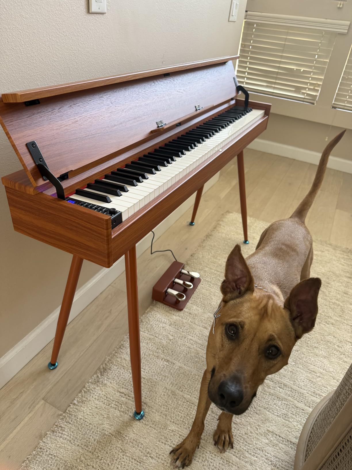 Digital Piano 88 Key Weighted Keyboard Full-Size Desk Electric Piano | Progressive Hammer-Action For Beginner Sheet Music Stand, Pedal, Power Adapter, Headphone Mode, USB-MIDI customer photo 2