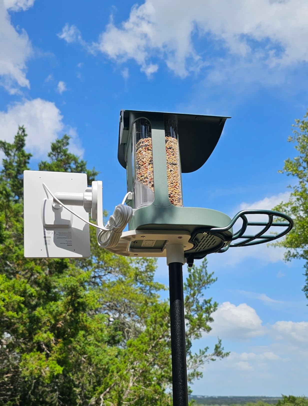 Kiwibit Smart Bird Feeder with Camera Solar Powered, 4K Video Live Stream, 8MP Photos, AI Identification Bird Specie 10,000+ Real-Time Bird Alert, Birdwatching Gift for Loved One, Green customer photo 2