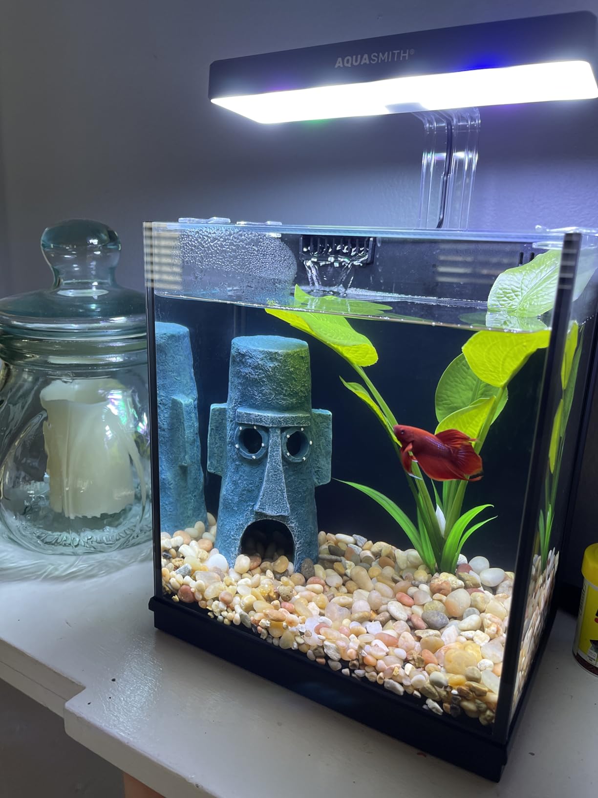 AQUASMITH Beta Fish Tank, 2 Gallon Betta Fish Aquariums with Filter & Light, for Men, Fish Tanks for Kids & Starter, Black customer photo 2