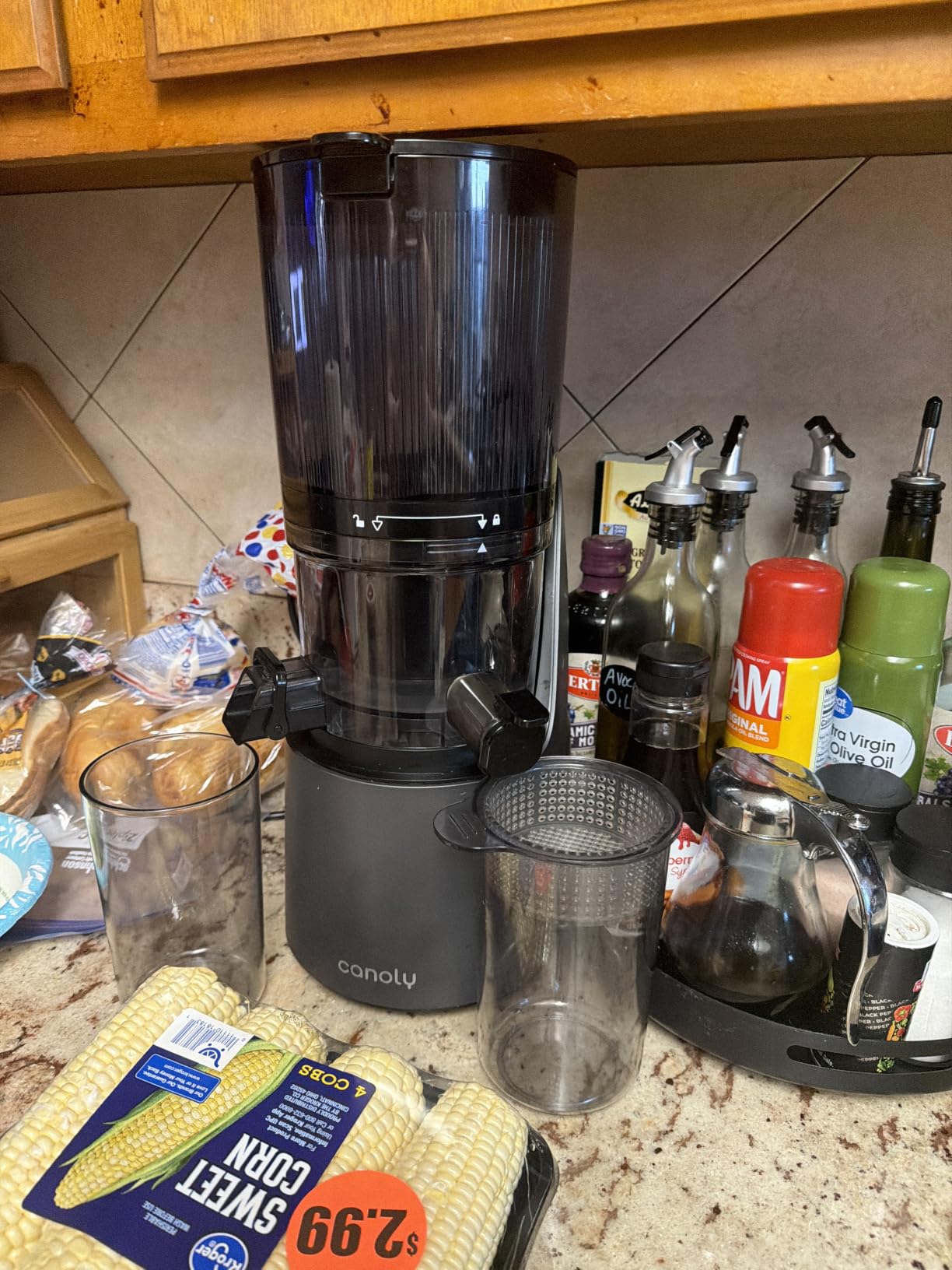 Canoly 3-in-1 Cold Press Juicer C16, Makes Juice & Sorbet & Nut Milk customer photo 2