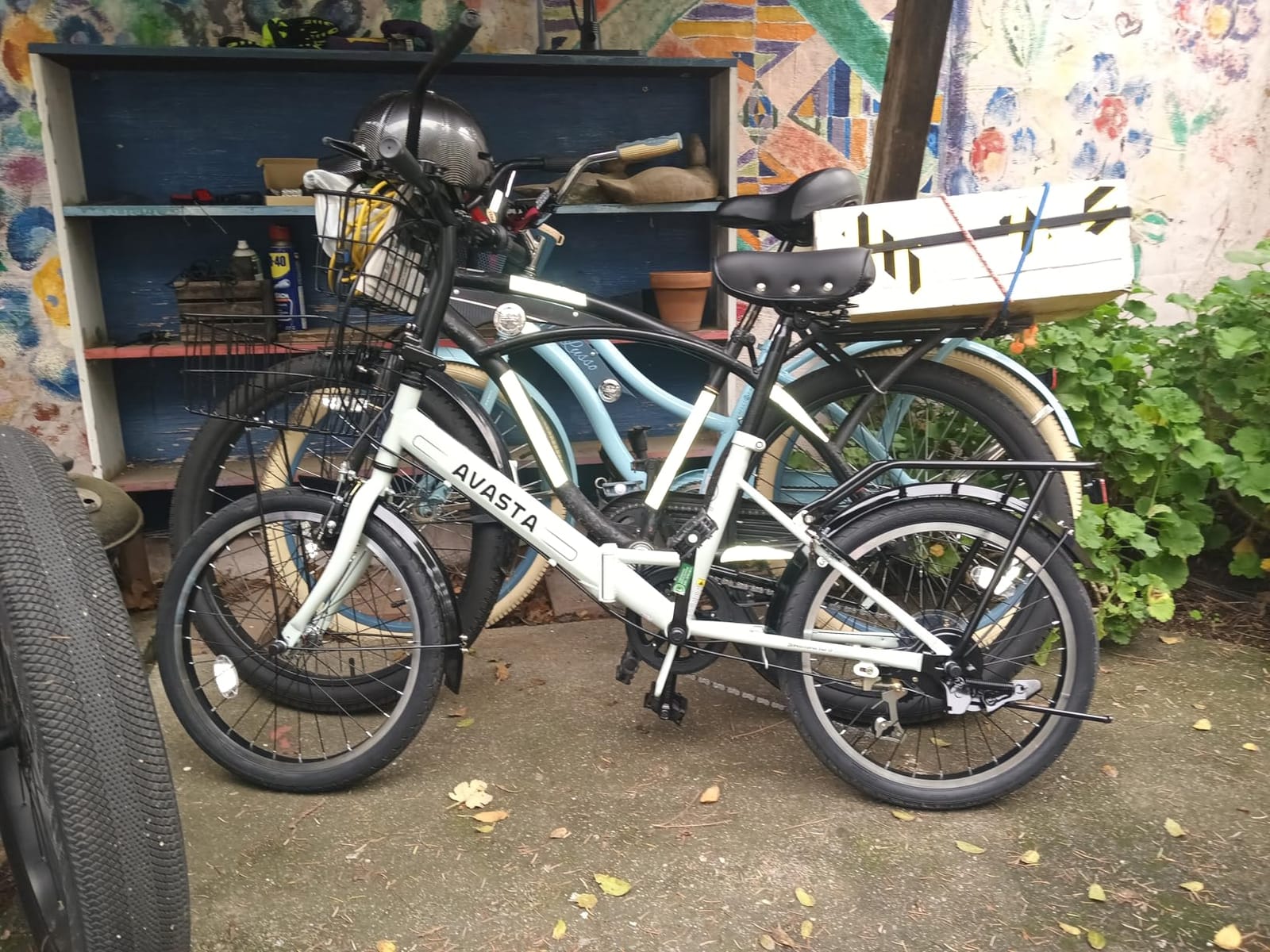 AVASTA Quartet Folding Bike, 20/24 Inch, 7-Speed, Dual Brakes customer photo 2