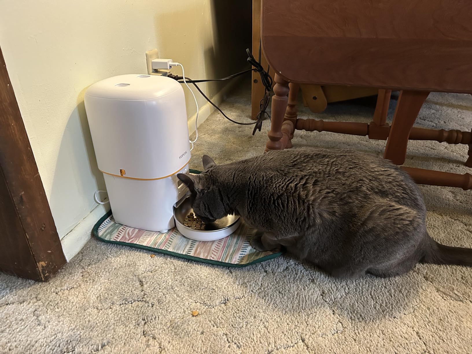 Automatic Cat Feeder, 3L Cat Food Dispenser with Anti-Jam Design, Over 180-day Battery Life customer photo 1