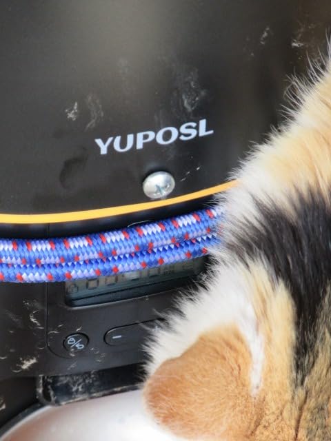 Automatic Cat Feeder, 3L Cat Food Dispenser with Anti-Jam Design, Over 180-day Battery Life customer photo 2