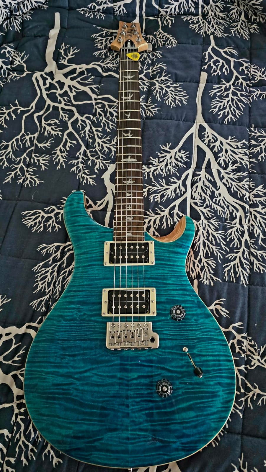 PRS SE Custom 24 Exclusive, Lake Blue with Gigbag customer photo 2