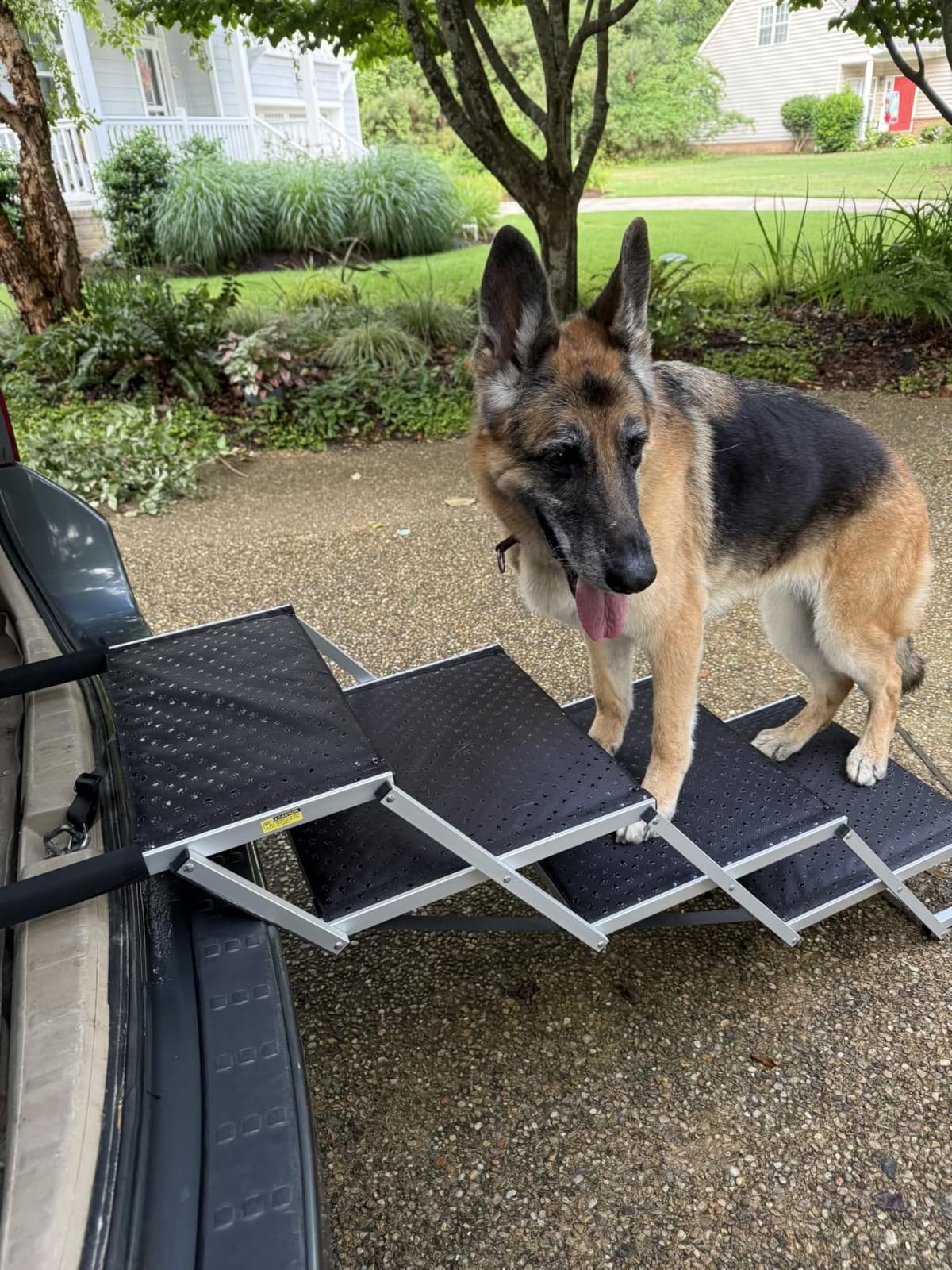 Dog Ramp for Car Truck 63