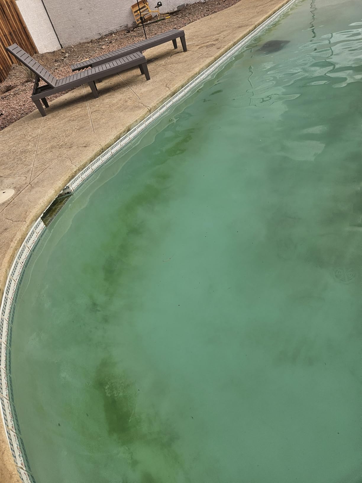Aiper Scuba S1 Robotic Pool Cleaner, Wall & Waterline Cleaning, Dual Filtration, Extended 180-Min Battery Life, Smarter Navigation with High-Precision Sensors, App Support, OTA Upgrade customer photo 2