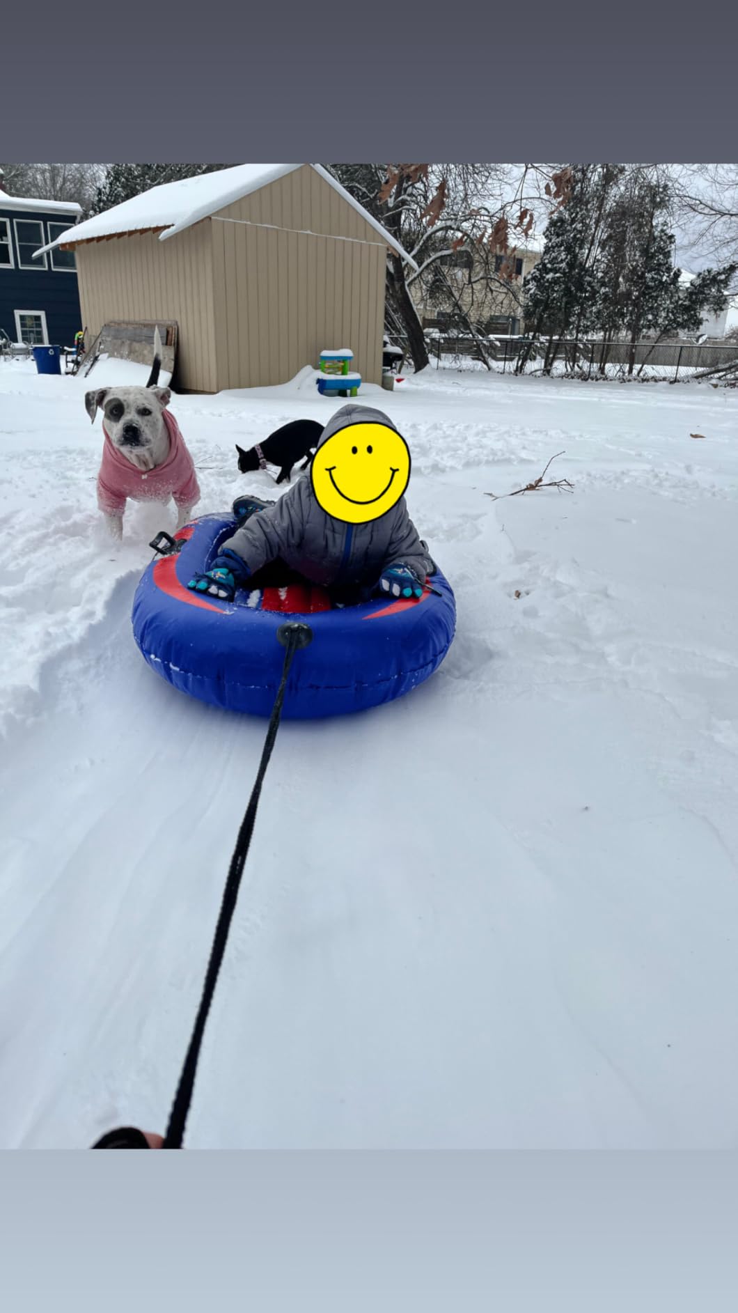 Raxurt Inflatable Snow Sled, Heavy Duty Snow Tube with Sturdy Handles for Kids and Adults, Extra Durable 0.7 mm PVC Snow Sleds, Sledding Winter Outdoor Fun Toys for Children Boys Girls customer photo 1