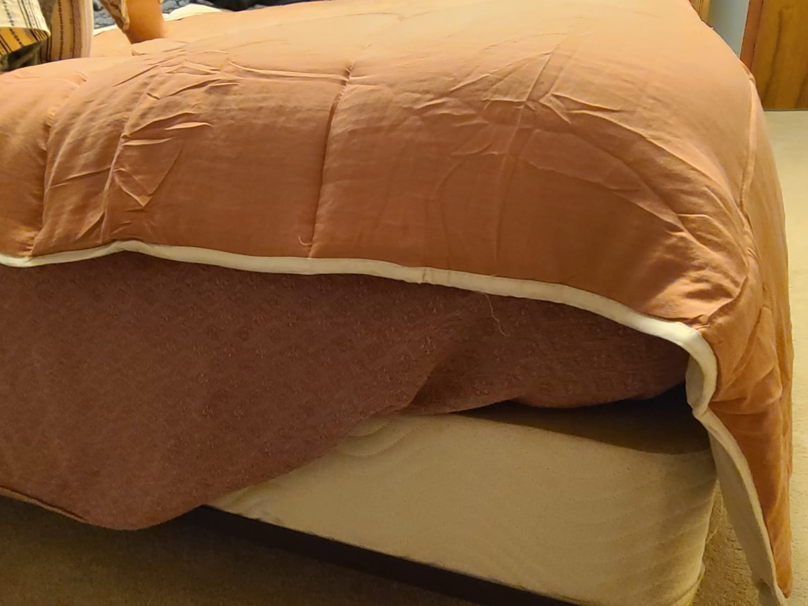Goose Feather Down Comforter King Size, All Season Duvet Insert | 100% Organic Cotton Shell, Medium Warmth Hotel Luxury Bedding Comforter, 106 x 90 Inches, White customer photo 2