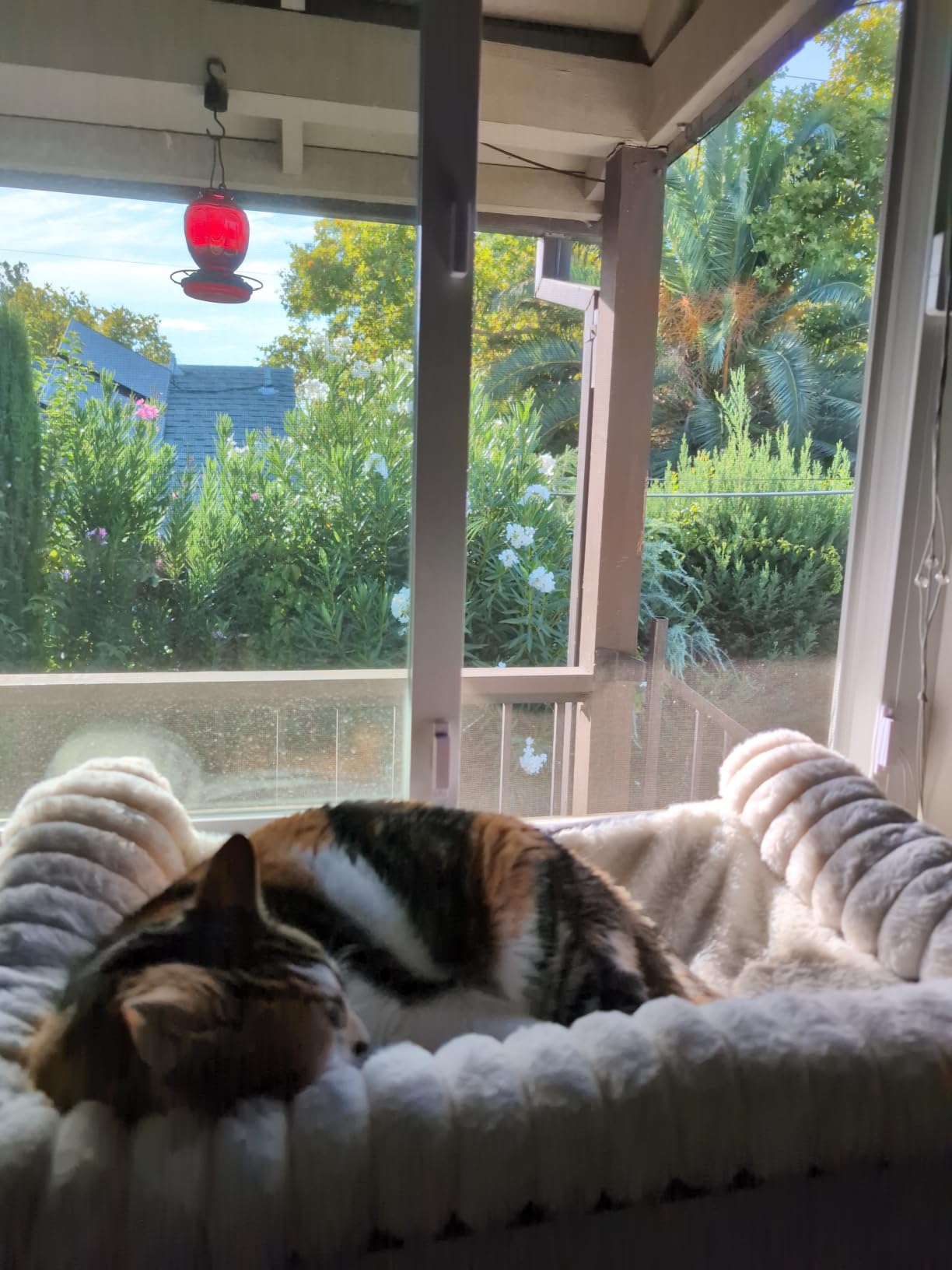 Cloud-Soft Cat Window Sill Perch, Zipper Design Cushion Pet Bed, L | Solid Wood & Sturdy Metal Frame, Machine Washable, Unobstructed Front View, Panoramic and Roomy Cat Hammock for Large Cats customer photo 1
