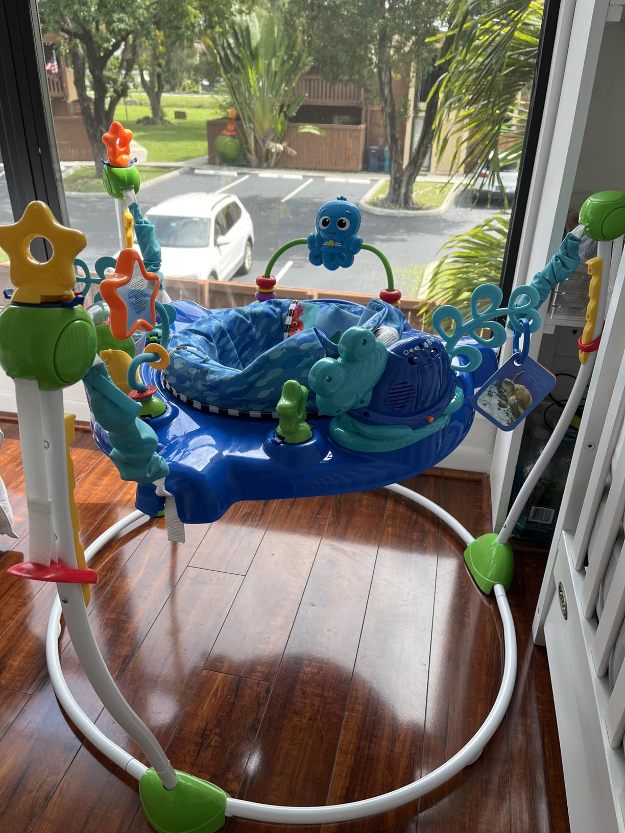 Baby Einstein Farm Explorers Jump & Learn Barnyard 2-in-1 Baby Jumper Activity Center with Interactive Toys, Music, Lights, & Sounds, Ages 6-12 Months customer photo 2