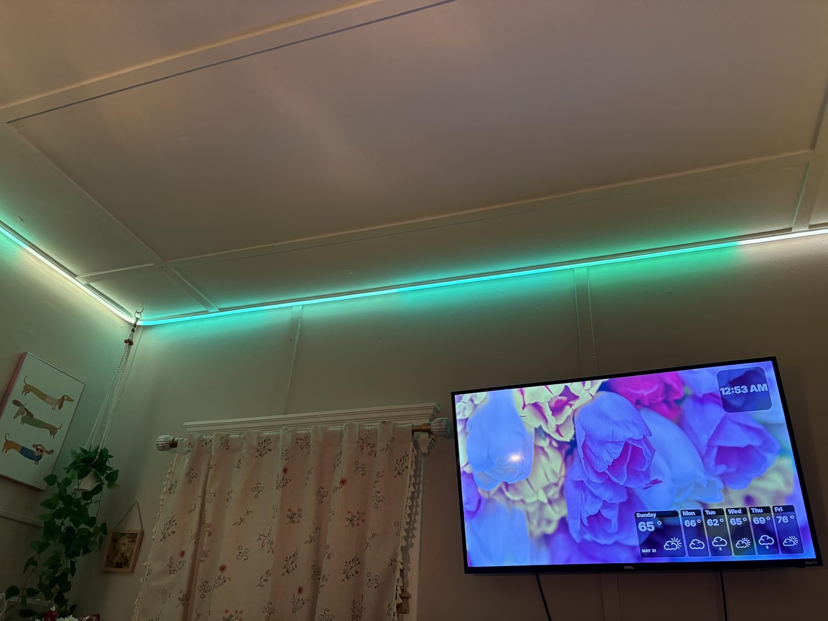 NEEWER 16.4ft/5m LED Strip Lights Front Lit, Smart AI App Control RGB IC Cuttable Neon Rope Light Color Change for Bedroom Gaming Room Home Indoor Wall Decor, Compatible with Google and Alexa, NS01 customer photo 1