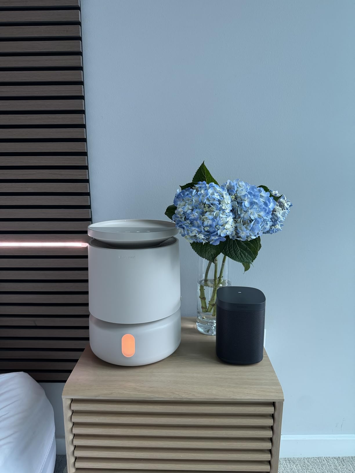 BLUEAIR Room Humidifier - DreamWell - 48Hr Top-Fill Mist-Free InvisibleMist Technology customer photo 1