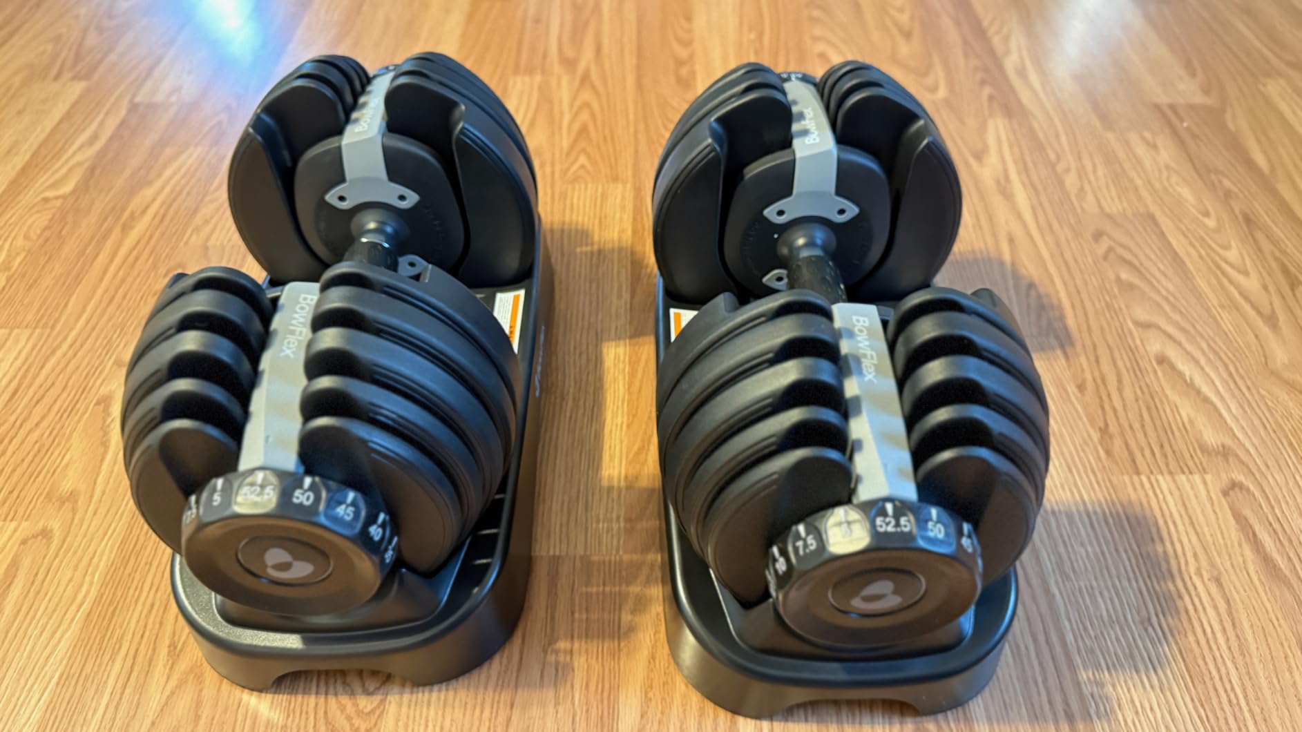 BowFlex Results Series SelectTech Dumbbells customer photo 1
