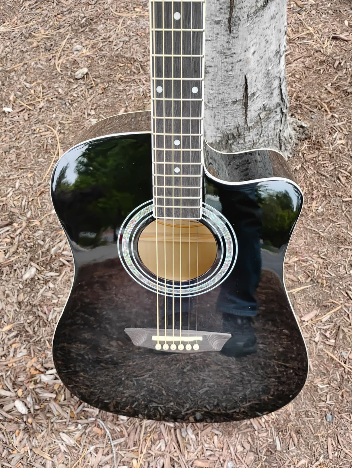 Washburn WA90CE Acoustic-Electric Guitar Kit Tobacco Burst | Starter kit included; Cutaway body customer photo 2