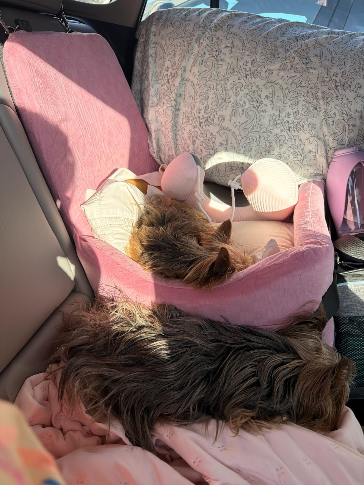PETSFIT Dog Car Seat with Patented Safety System, 5