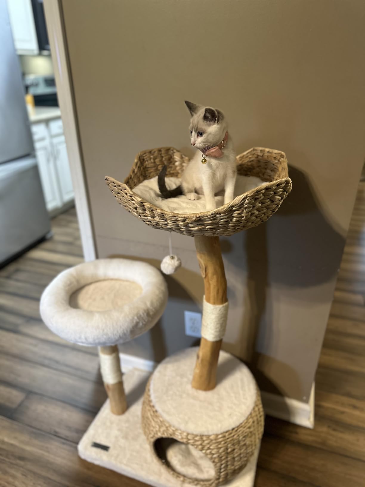 Leo & Lexi Modern Cat Tree Tower with Cave, Real Wood Cat Scratching Post with Bed for Indoor Cats Large Adult, Solid Wooden Climbing Tower, Cute Condo, Aesthetic Stand, Boho Luxury Pet Furniture customer photo 1