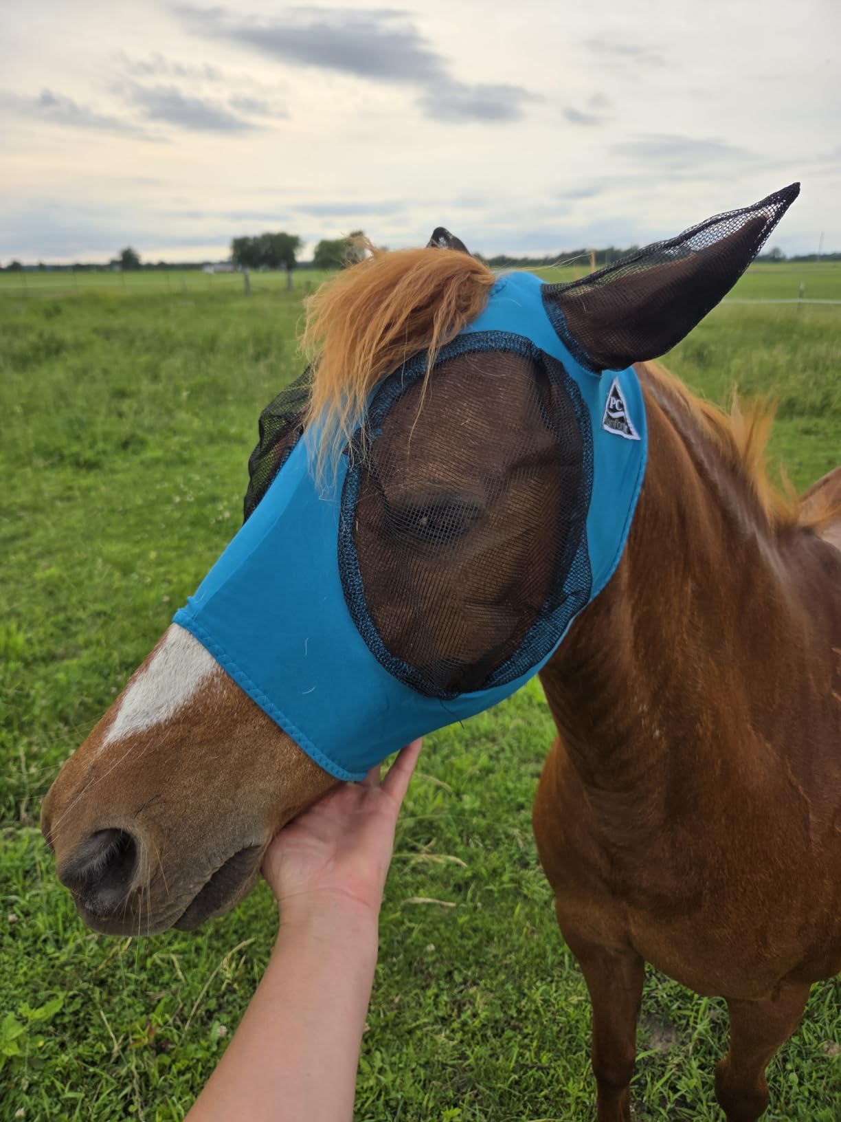 Professional's Choice Comfort-Fit Fly Mask | Smooth, Stretchy Material | Mesh Around The Eyes and Ears Allows for Clear Vision and Keeps Flies and Bugs Away | Horse Size | Orange customer photo 1