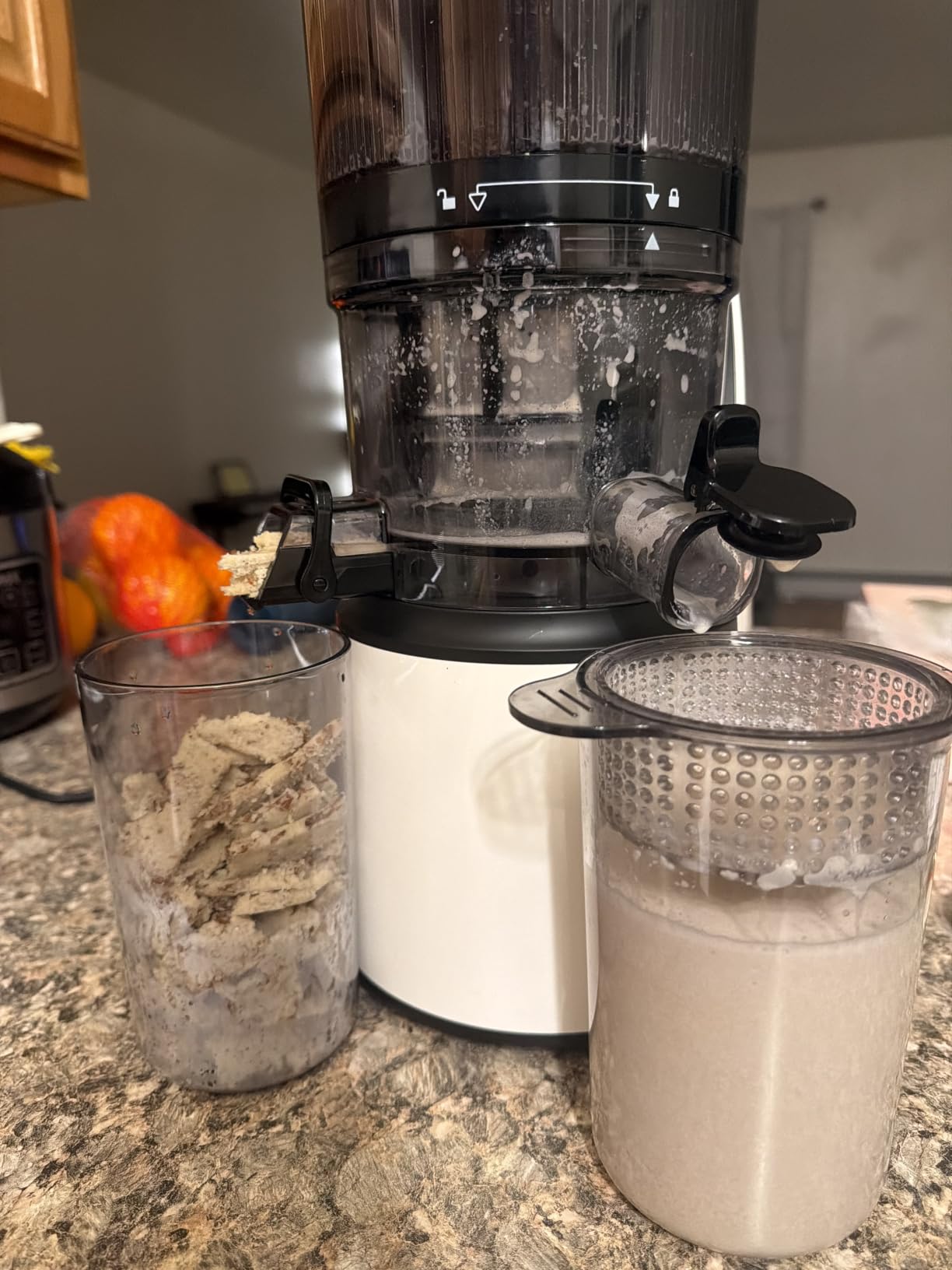 EanOruus Juicer Machines, 3-in-1 Cold Press Juicer with 6.5