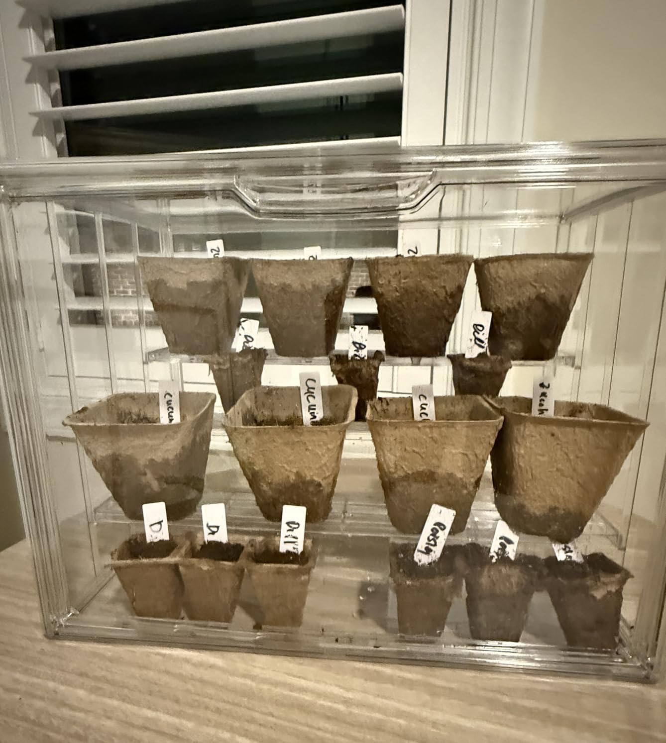 Mini Greenhouse Indoor with Magnetic Door, M-4tier-1pcs | Retains Warmth & Moisture, Durable Construction, Magnetic Door, Adjustable Dividers Fit Different Plants, Tool-Free Assembly customer photo 1