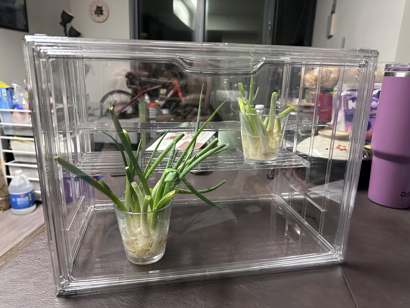 Mini Greenhouse Indoor with Magnetic Door, M-4tier-1pcs | Retains Warmth & Moisture, Durable Construction, Magnetic Door, Adjustable Dividers Fit Different Plants, Tool-Free Assembly customer photo 2