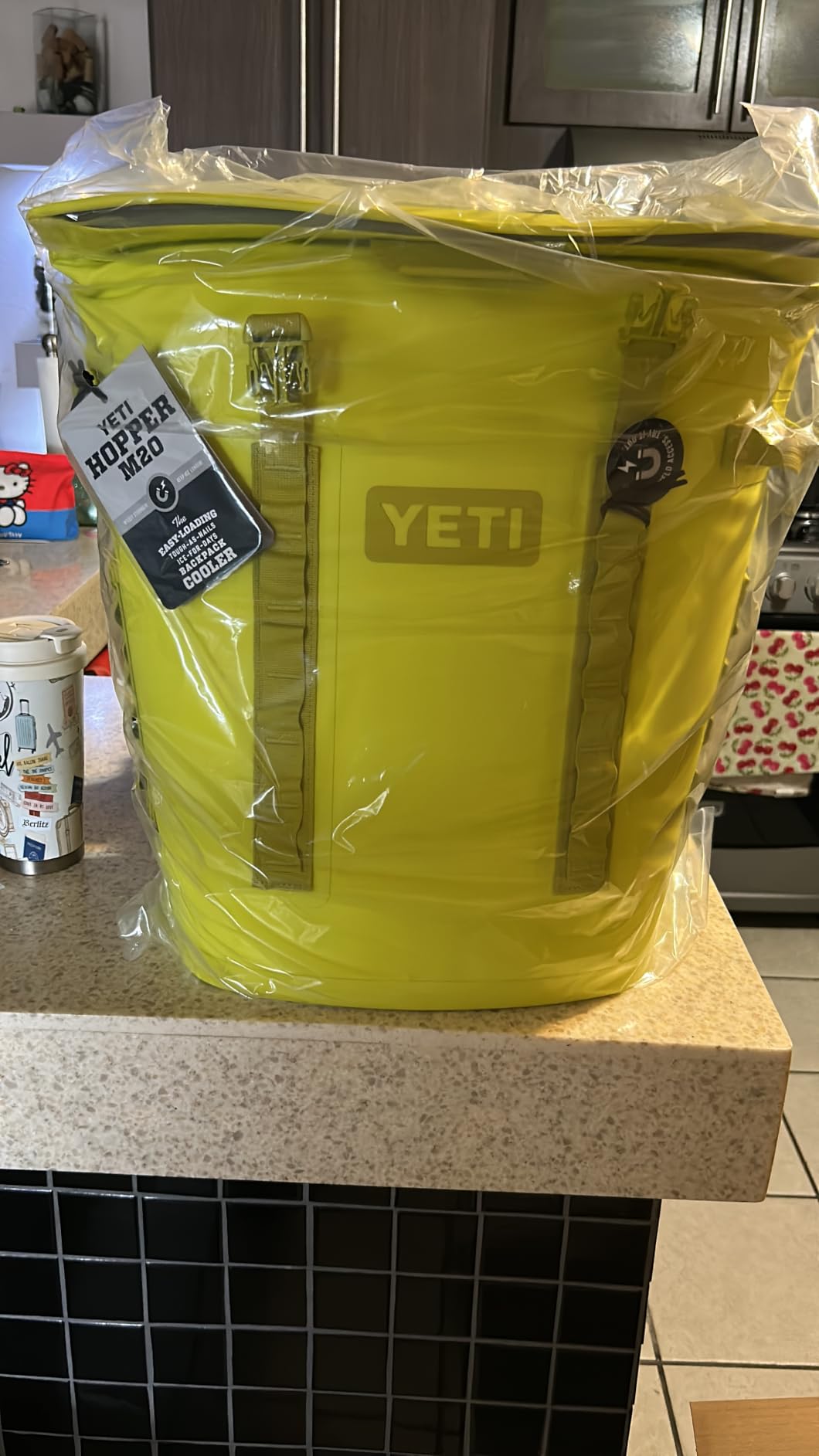 YETI Hopper M Series Backpack Soft Sided Coolers with MagShield Access customer photo 1