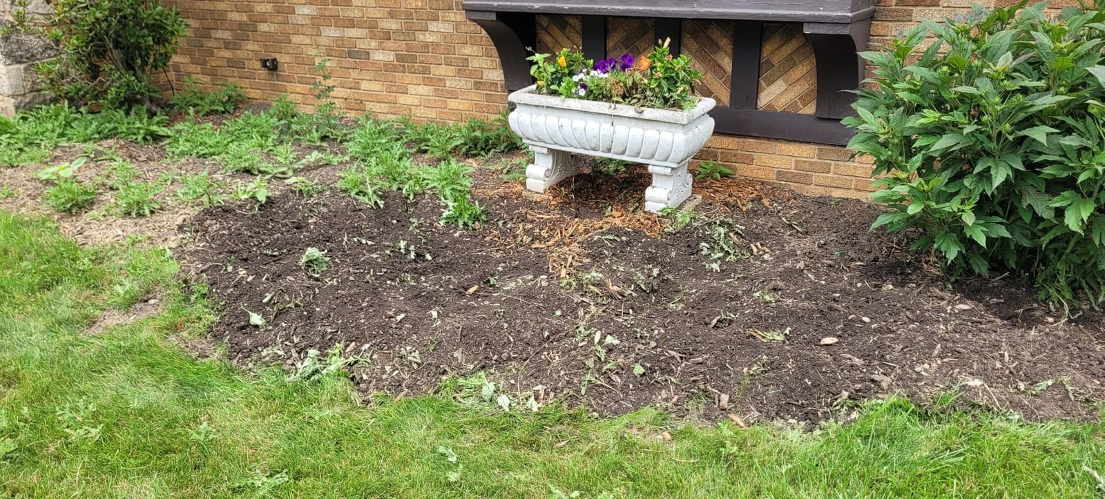 MZK 20V Cordless Tiller Cultivator, 8-Inch Steel Tines, 360 RPM | Battery-powered mini garden cultivator for soil cultivation, lawn care, and small garden beds. customer photo 1