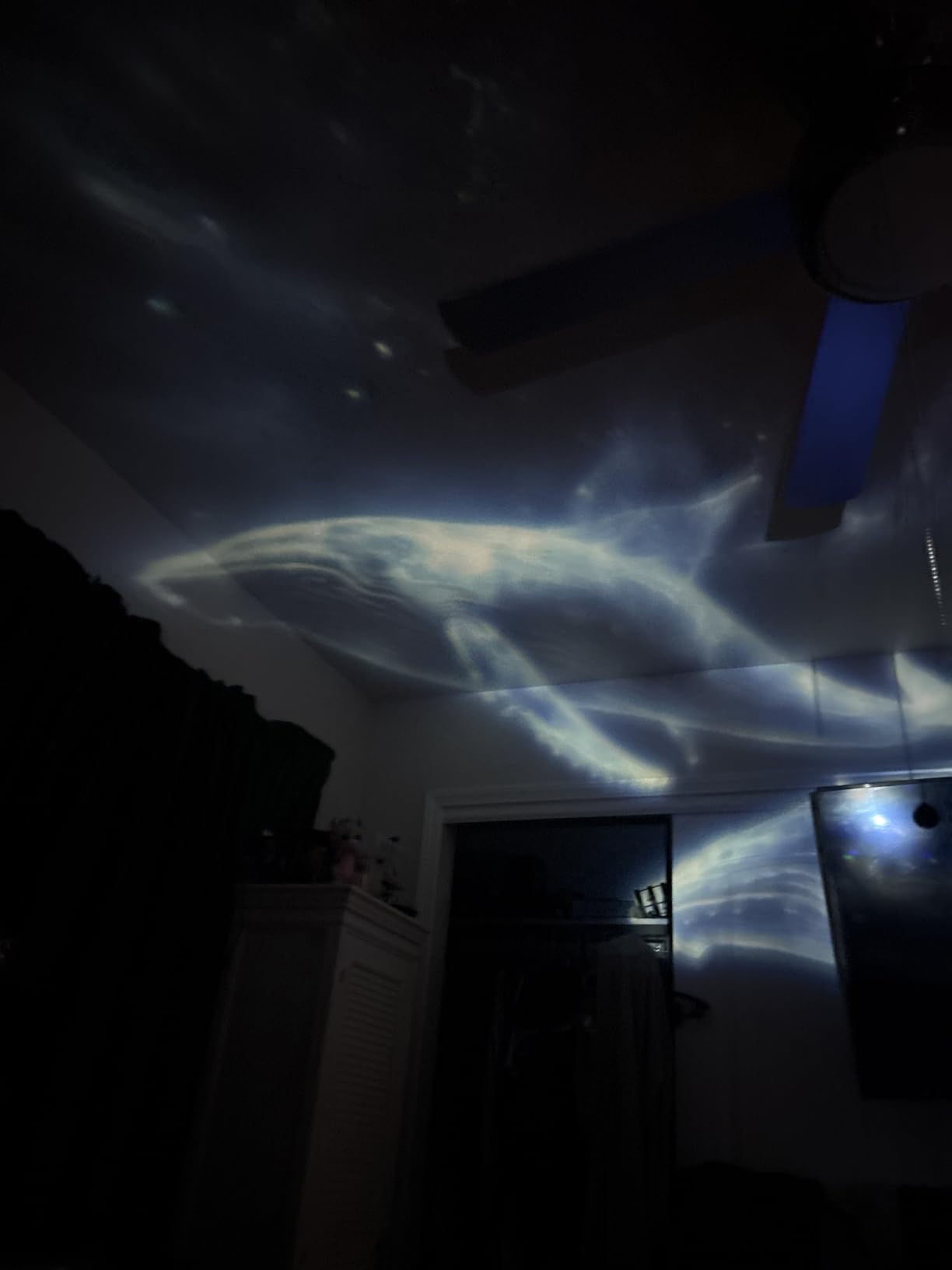 3D Galaxy Projector, 60 Scene Modes, Star Projector for Decor customer photo 1