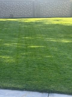 Segway Navimow X430 Robot Lawn Mower Wire Free, for up to 1 Acre, 4WD for 84% Slopes, Zero-Turn for Damage-Free Mowing, ORV-Tuned Lawnmower, MowMentum with 2 x 180W Motors, 0.75-4 in Cutting Height customer photo 1