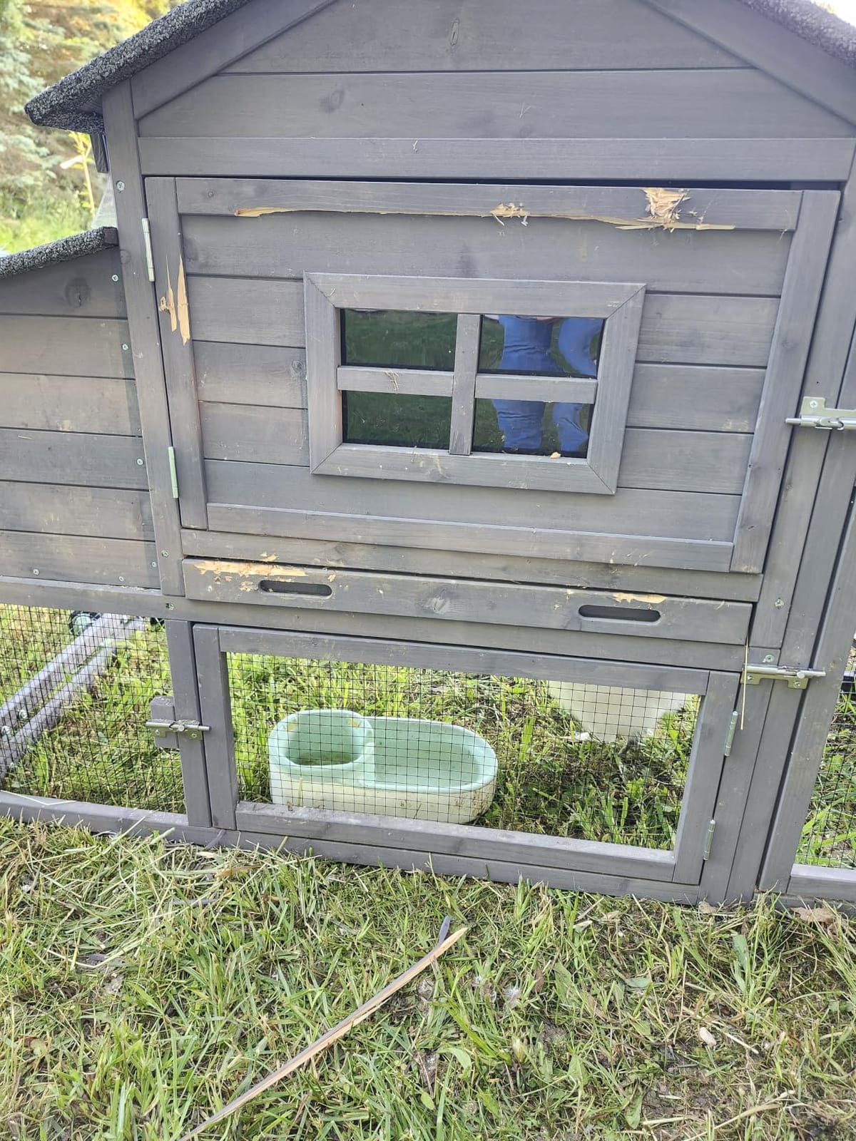 Aivituvin Chicken Coop Hen House, Large Outdoor Wooden Poultry Cage with Ramps, Run, Nesting Box, Removable Tray, Weather-Proof Chicken Cage (Grey, AIR31) customer photo 1