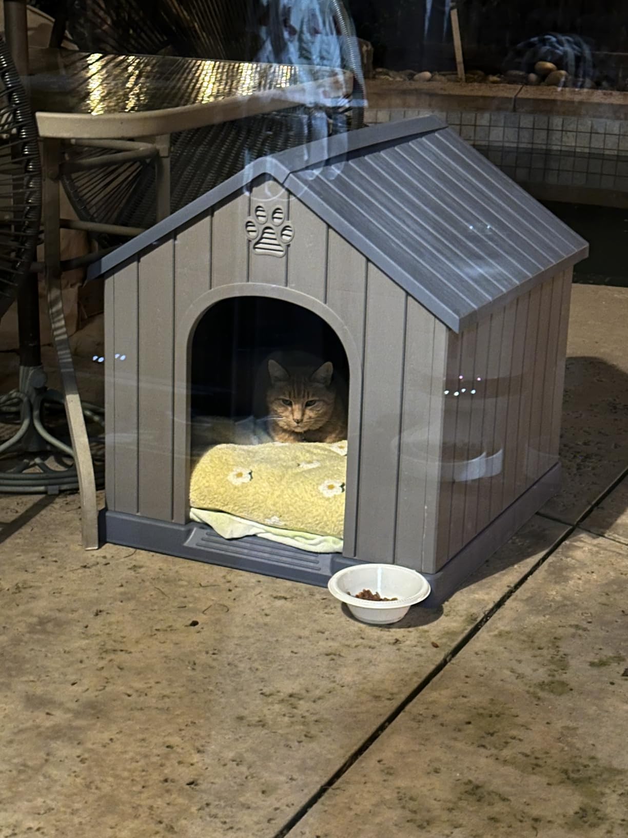 Bifanuo Outdoor Indoor Dog House for Small & Medium Dogs - Weatherproof Shelter with Elevated Floor, Hidden Vents & Tool-Free Assembly (Classic Grey, 26.18