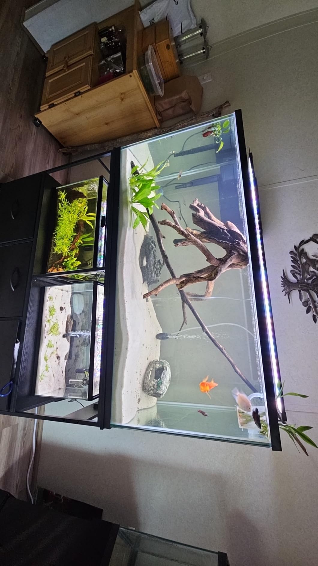 Heybly 55-75 Gal Fish Tank Stand with Drawer, Power Outlet, Black HAS005BK | Aquarium Stand, Heavy Duty, 48