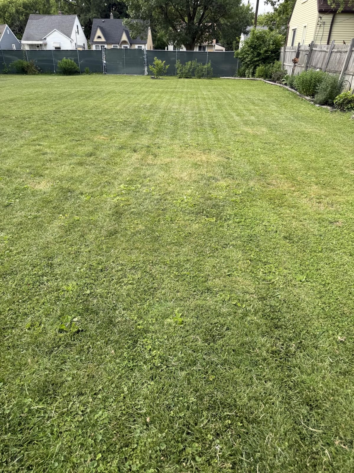 ECOVACS Goat A3000 LiDAR PRO Robotic Lawn Mower, Dual LiDAR Navigation | For Lawns Up to 3/4 Acre, Fast Charging, High-Efficiency Mowing up to 400 m²/h, Built-in TruEdge Edge Trimmer, App Control customer photo 2