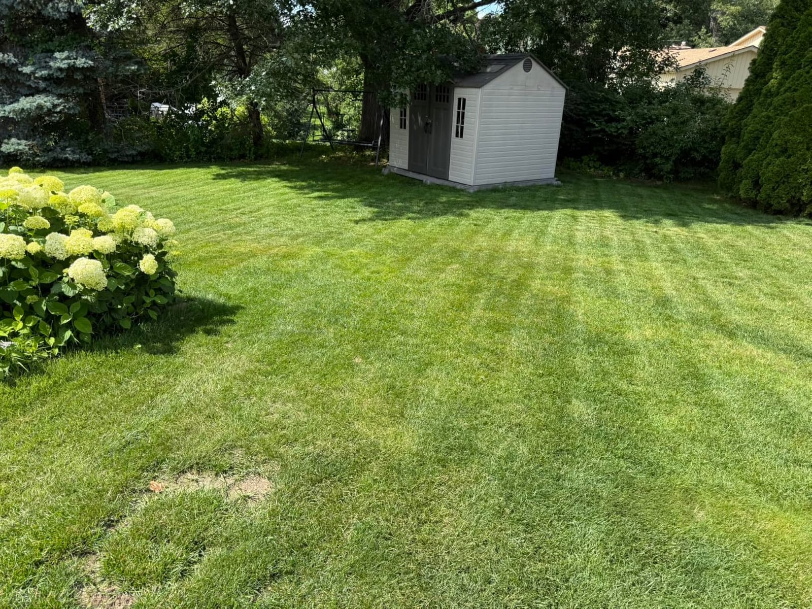 ECOVACS Goat A2000 LiDAR PRO Robot Lawn Mower, Dual LiDAR Navigation | For Lawn up to 1/2 Acre, Wire-Free Auto Mapping, Built-in TruEdge Edge Trimmer, AIVI 3D Obstacle Avoidance, App Control customer photo 1