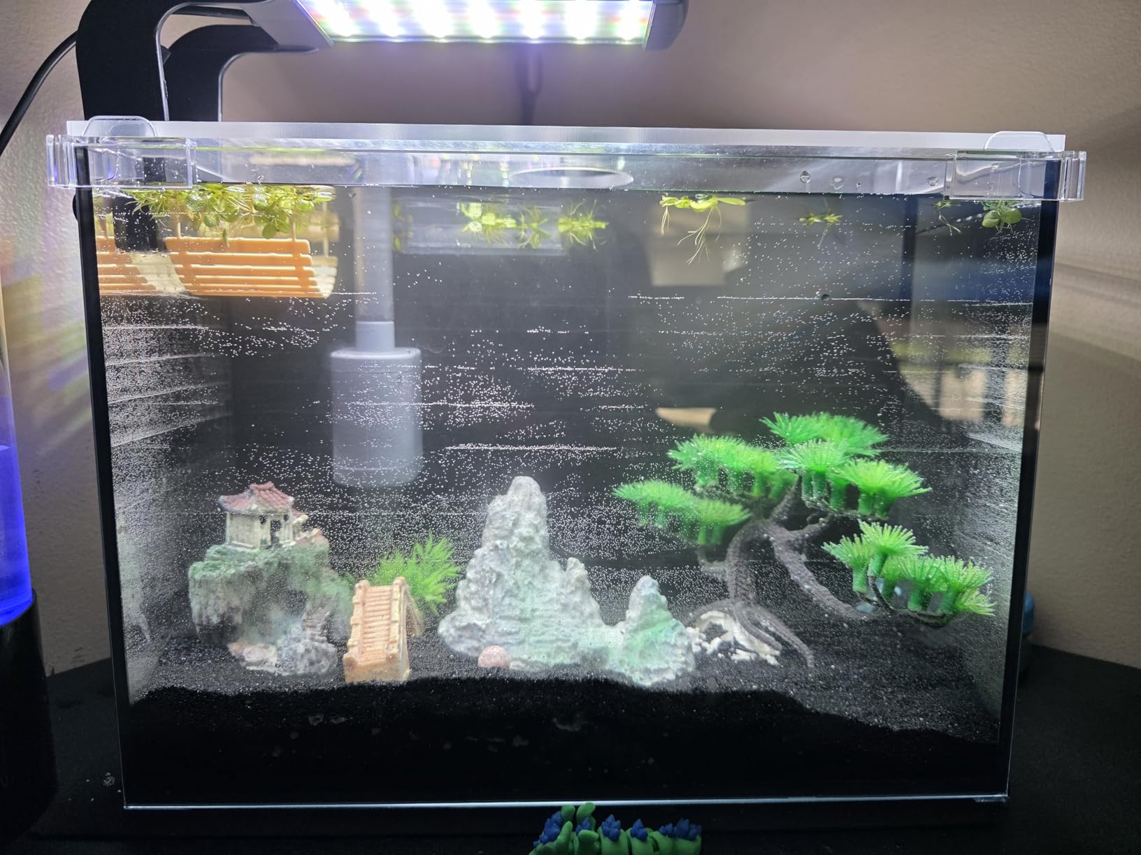 FS&AQ 2.5 Gallon Betta Fish Tank with Filter Light and Lid Small Aquarium Starter Kit Perfect for Desktops Offices or Beginners customer photo 2