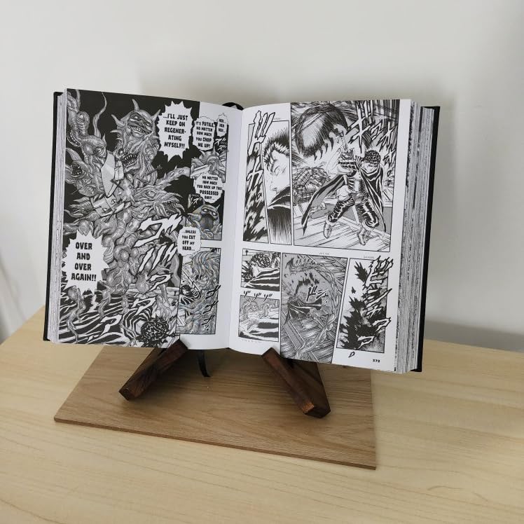 Vinyl Record Stand, Now Spinning Vinyl Holder for 12 Inch Albums, X-Frame customer photo 2