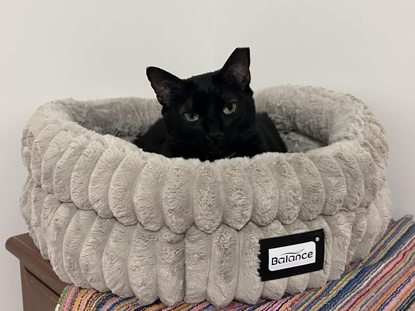 BALANCE Donut Dog Bed, 36 Inches Round Dog Bed Large Size Dogs Washable, Orthopedic Calming Dogs Beds for Kitten, Fluffy Plush Faux Fur Pet Bed with Anti-Slip Bottom customer photo 1